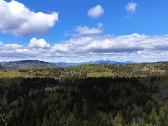 Land In Hlevci, Croatia (1.000 M²)