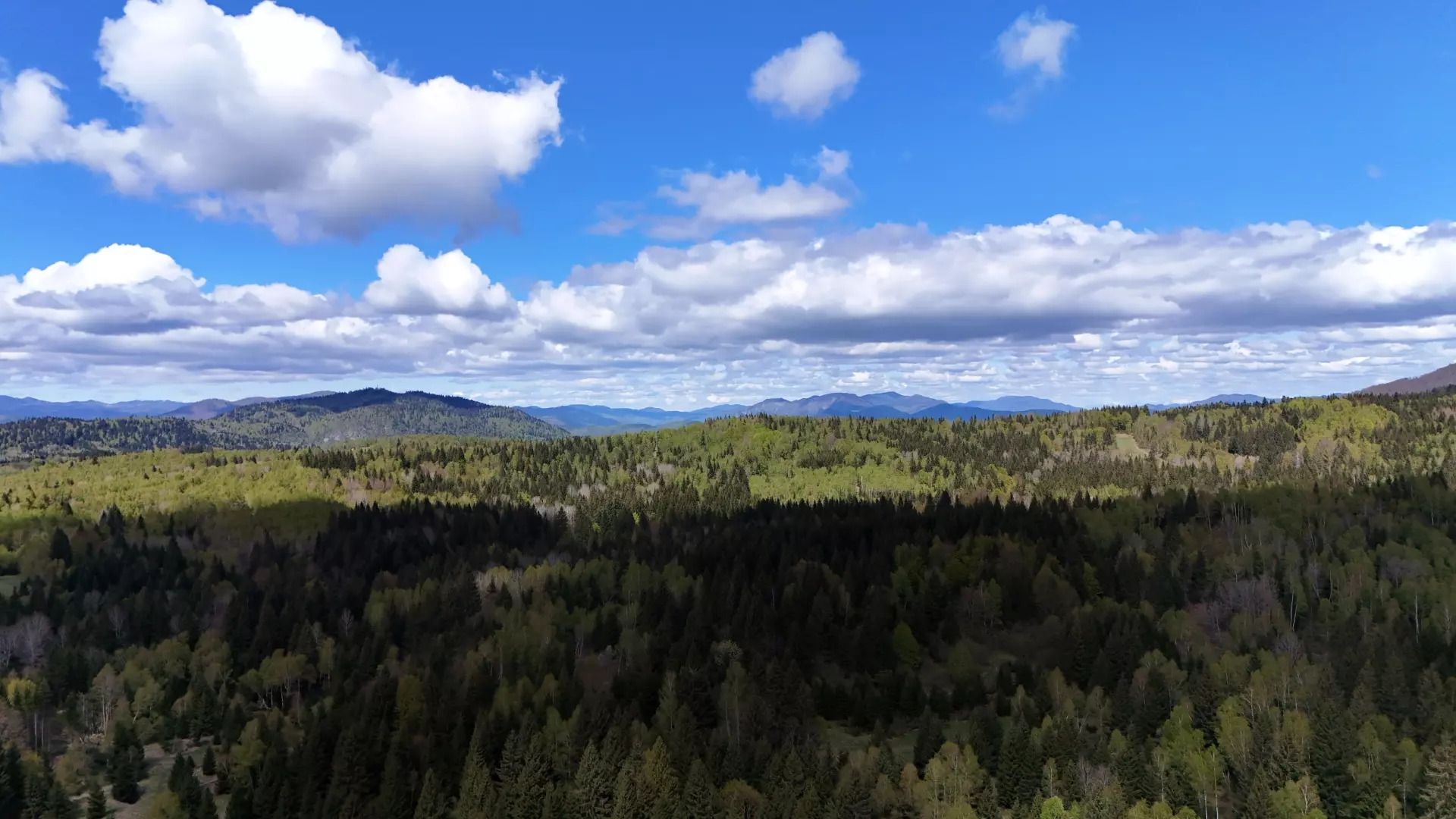 original_1774358588_dji_20240422120525_0040_d-788190 Land In Hlevci, Croatia (1.000 M²)