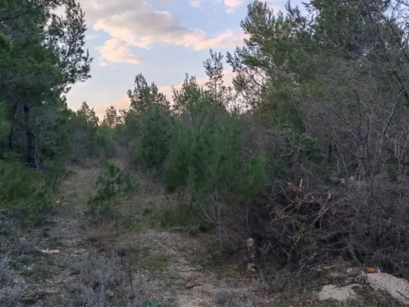 Land In Pridraga, Croatia (464 M²)