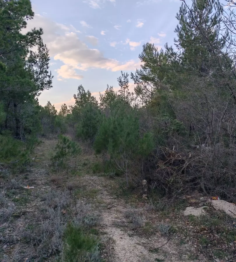 Land In Pridraga, Croatia (464 M²)