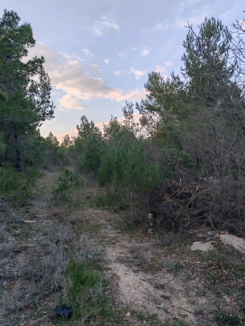 Land In Pridraga, Croatia (464 M²)