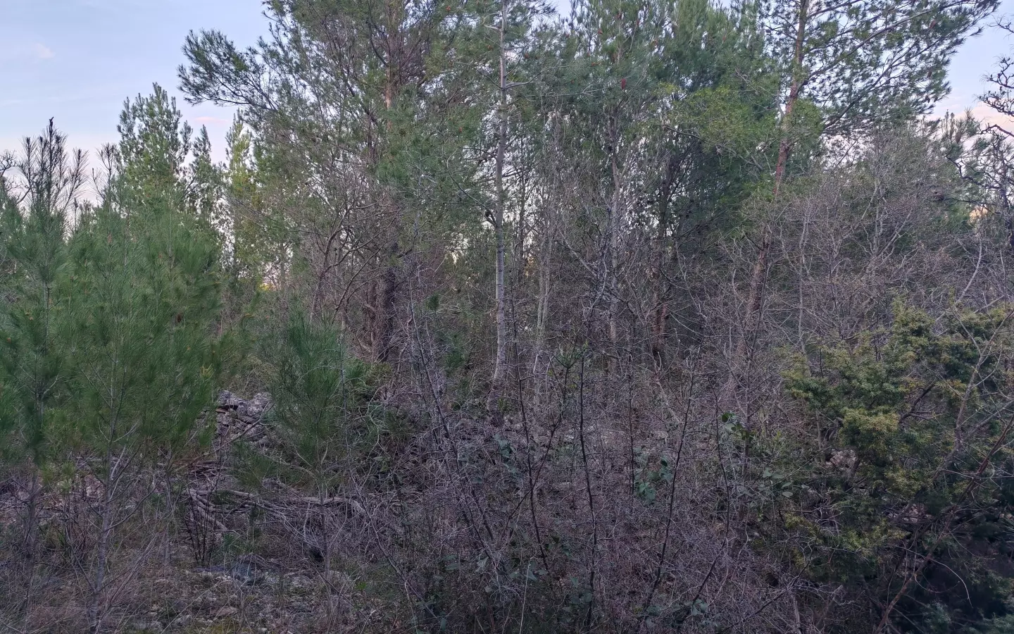 Land In Pridraga, Croatia (464 M²)