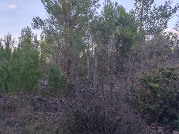 Land In Pridraga, Croatia (464 M²)