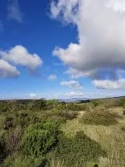Land In Debeljak, Croatia (660 M²)