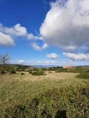 Land In Debeljak, Croatia (660 M²)