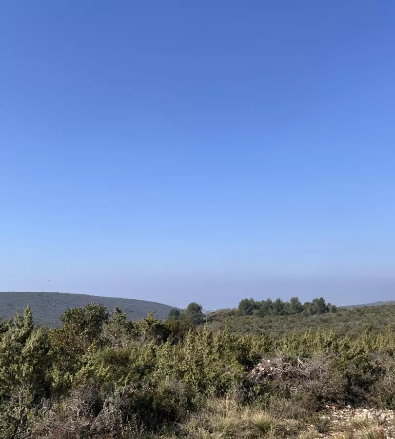 Land In Debeljak, Croatia (1.293 M²)