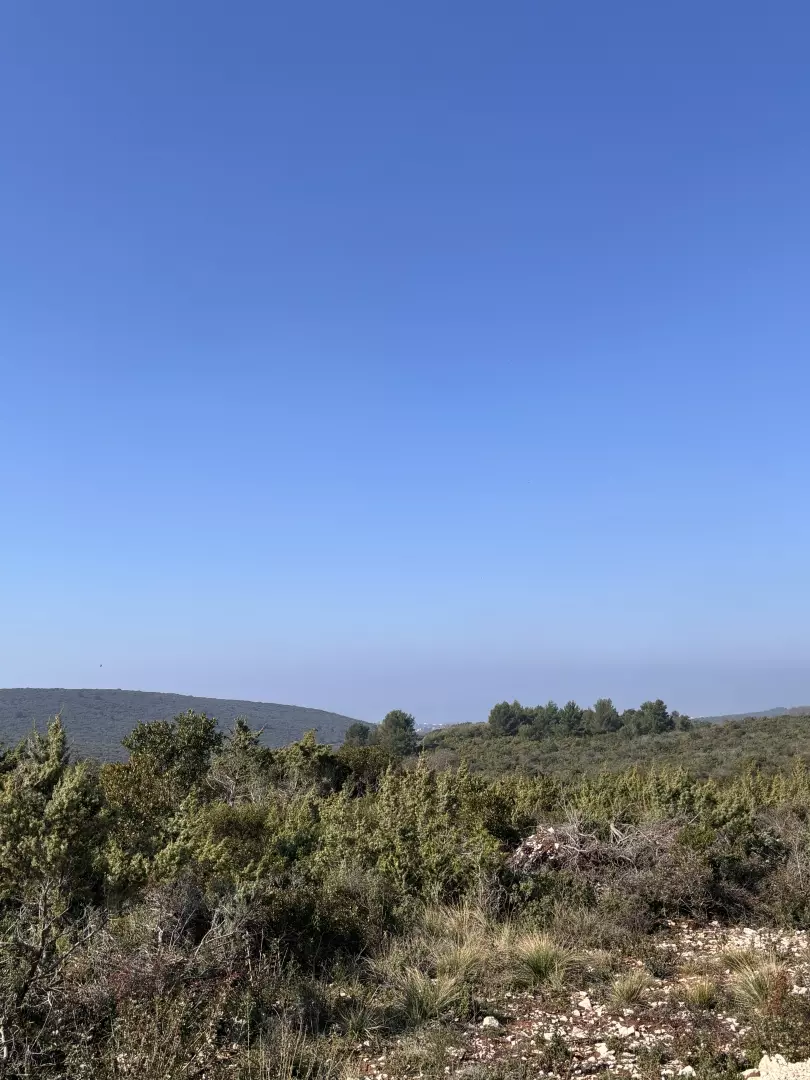 Land In Debeljak, Croatia (1.293 M²)