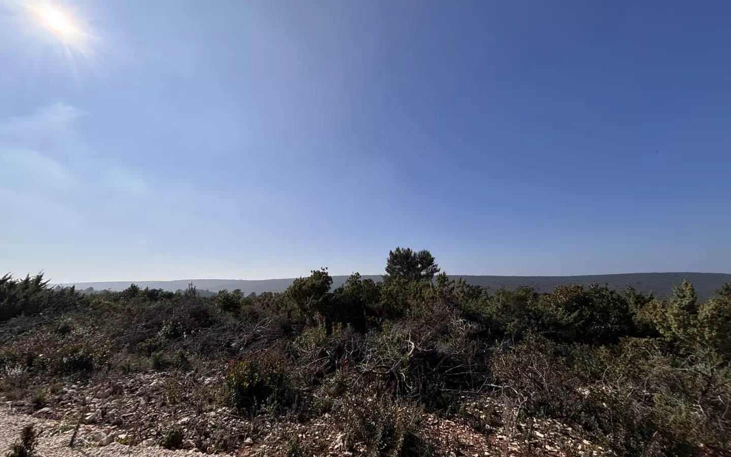 Land In Debeljak, Croatia (1.293 M²)