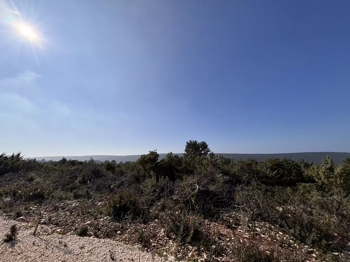 Land In Debeljak, Croatia (1.293 M²)