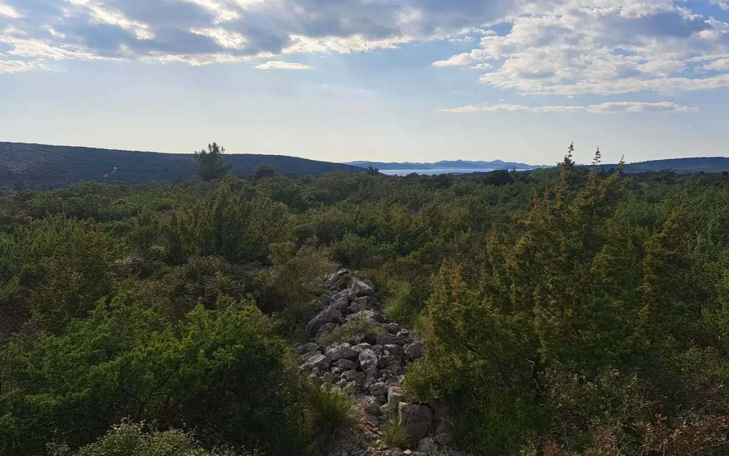 Land In Debeljak, Croatia (1.293 M²)