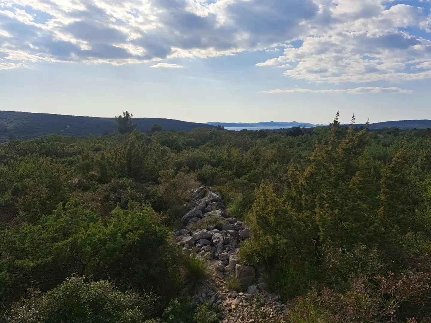 Land In Debeljak, Croatia (1.293 M²)