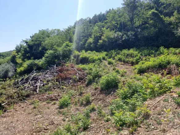Land In Grožnjan, Croatia (7.658 M²)