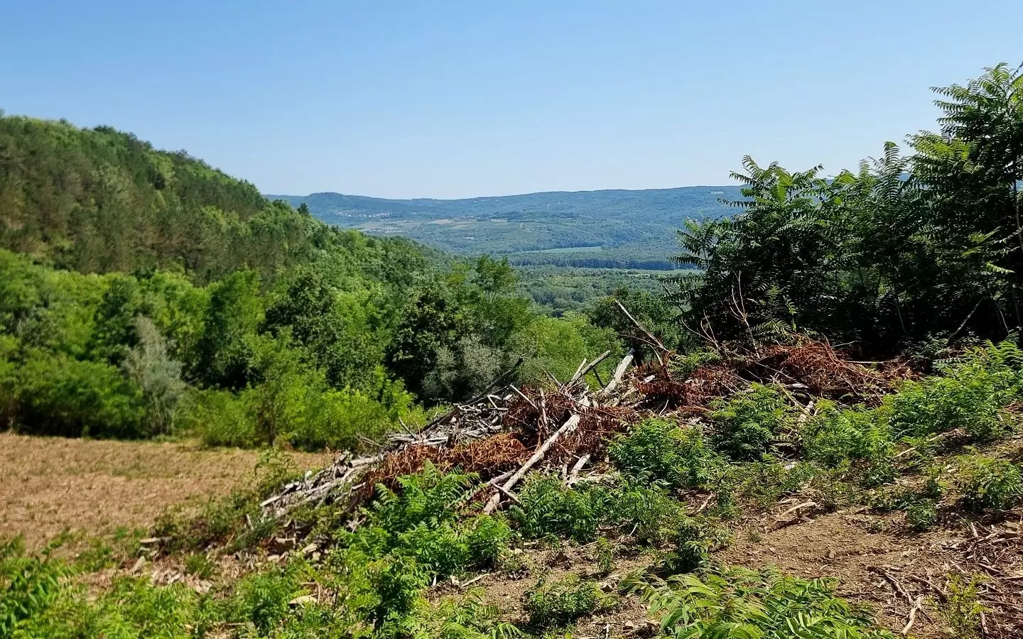 Land In Grožnjan, Croatia (7.658 M²)