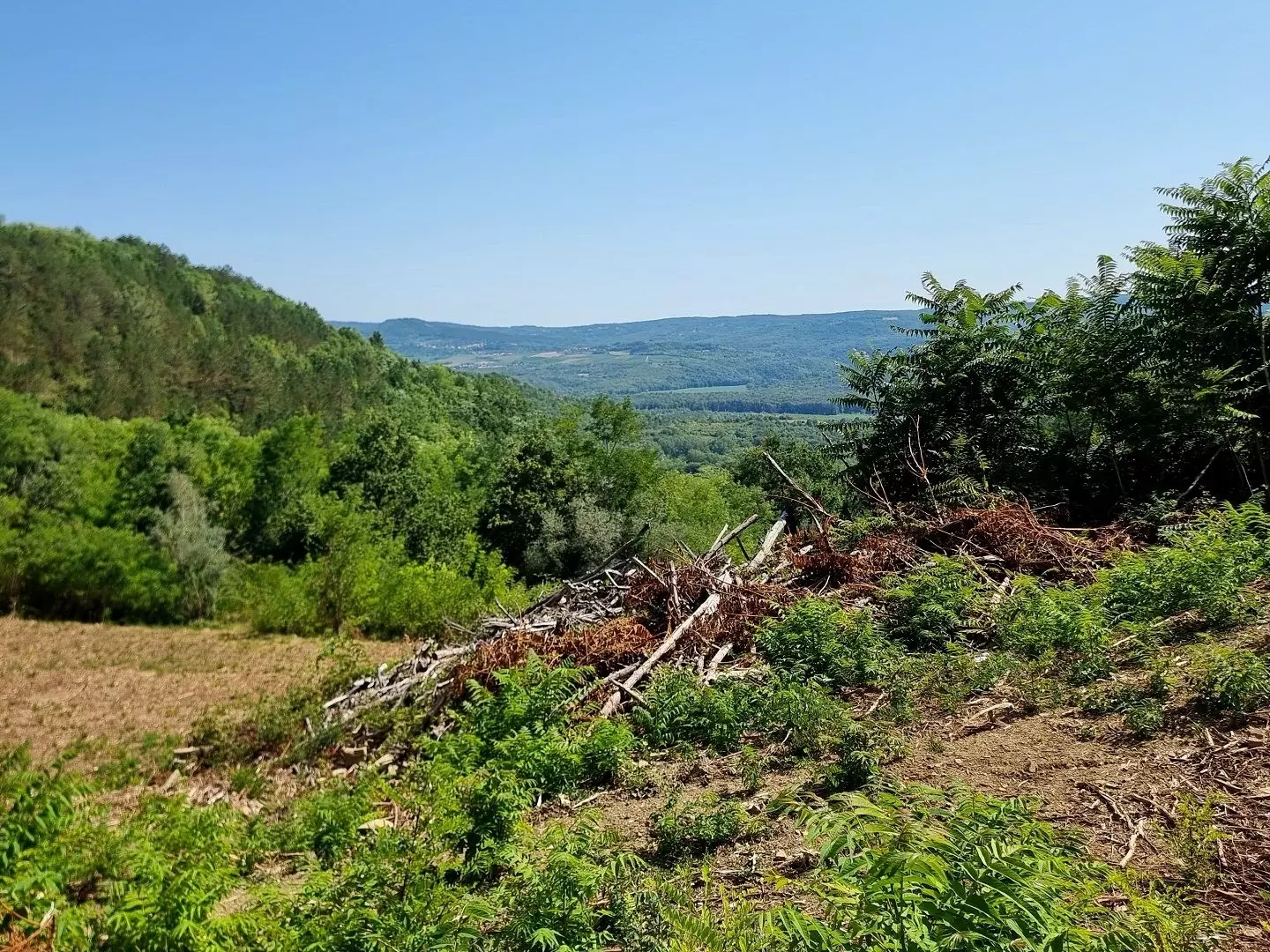 original_1774698375_croatia-istria-real-estate-for-sale-726-74c60a Land In Grožnjan, Croatia (7.658 M²)