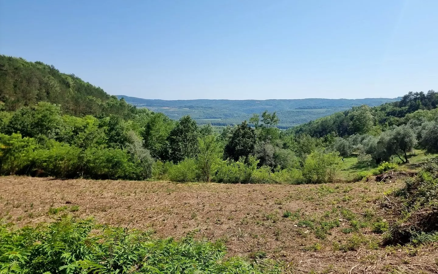 Land In Grožnjan, Croatia (7.658 M²)