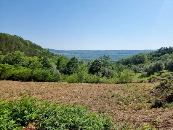 Land In Grožnjan, Croatia (7.658 M²)
