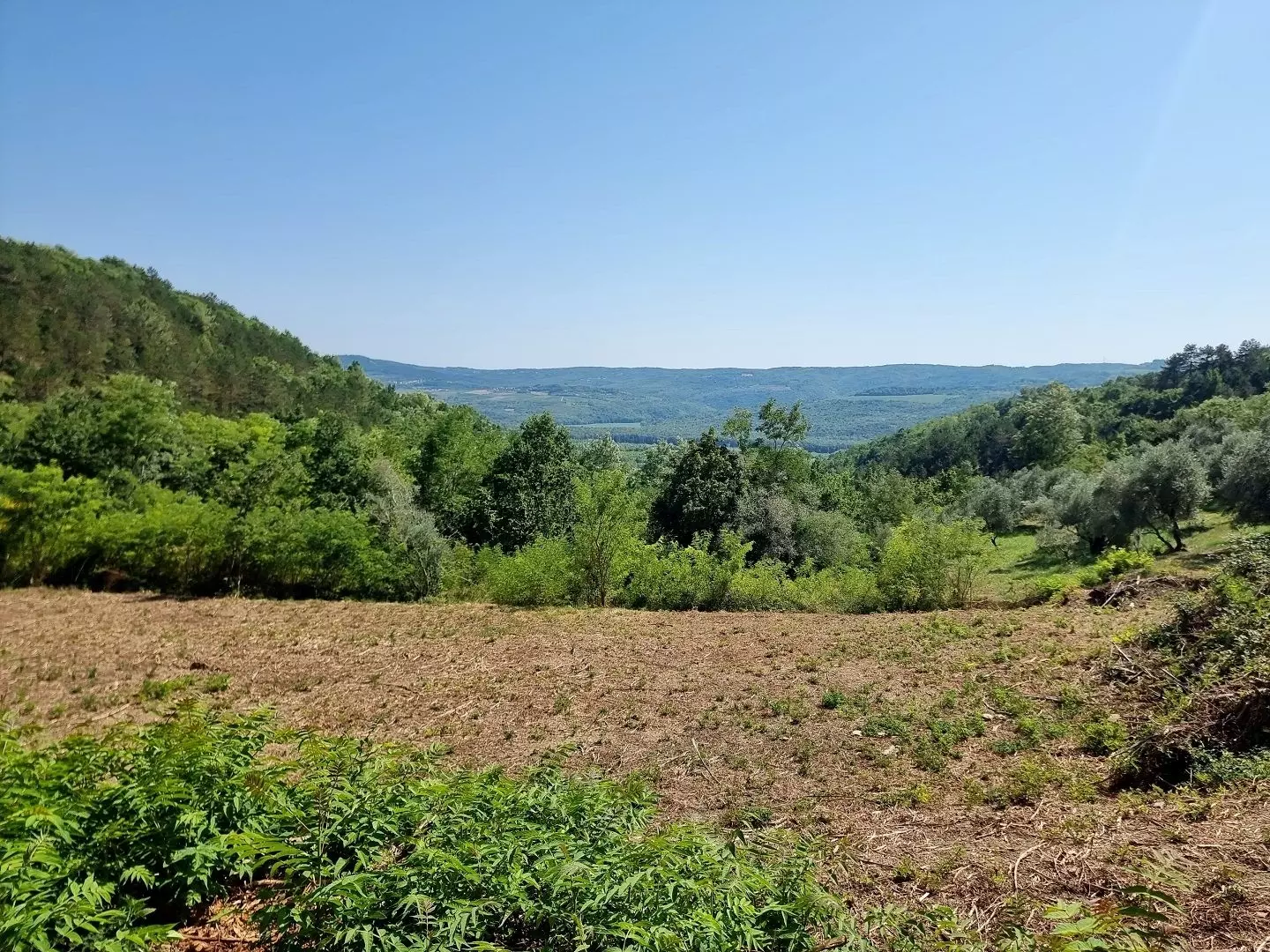 original_1774698379_croatia-istria-real-estate-for-sale-727-5fab4a Land In Grožnjan, Croatia (7.658 M²)