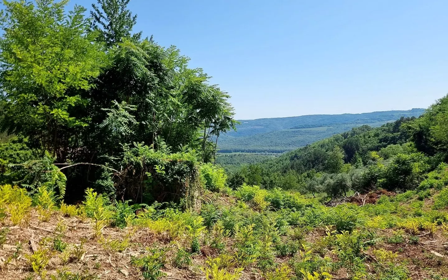 Land In Grožnjan, Croatia (7.658 M²)