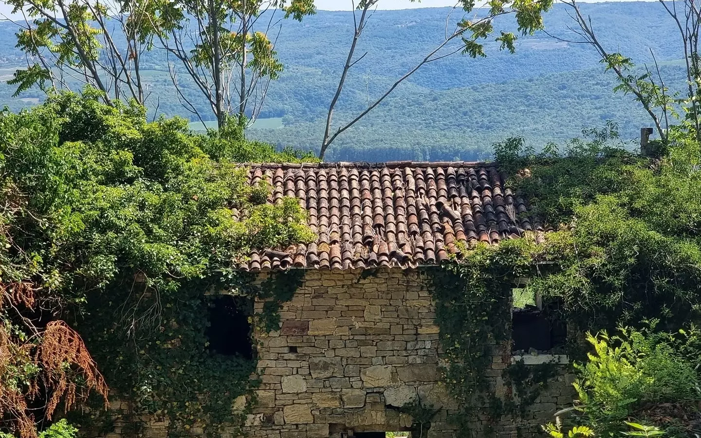 Land In Grožnjan, Croatia (7.658 M²)