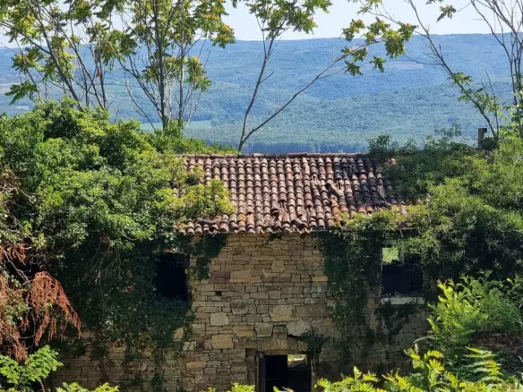 Land In Grožnjan, Croatia (7.658 M²)