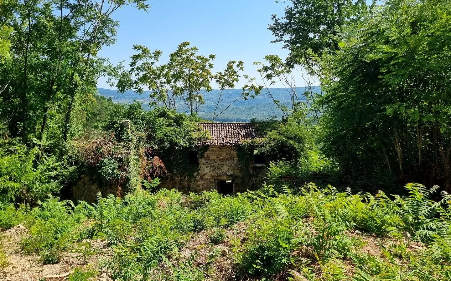 Land In Grožnjan, Croatia (7.658 M²)