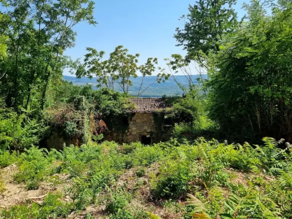 Land In Grožnjan, Croatia (7.658 M²)