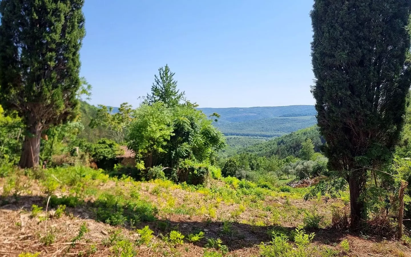 Land In Grožnjan, Croatia (7.658 M²)