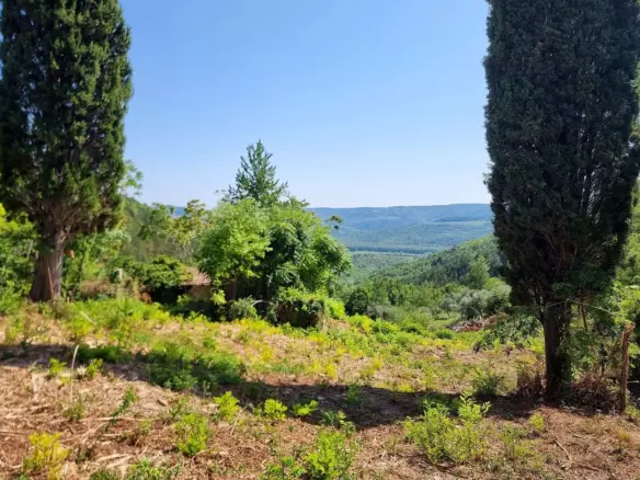 Land In Grožnjan, Croatia (7.658 M²)