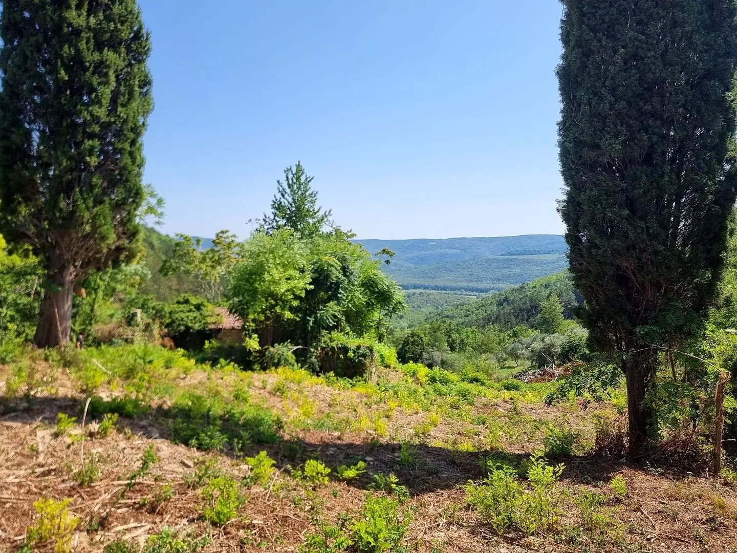 original_1774698397_croatia-istria-real-estate-for-sale-731-68d421 Land In Grožnjan, Croatia (7.658 M²)