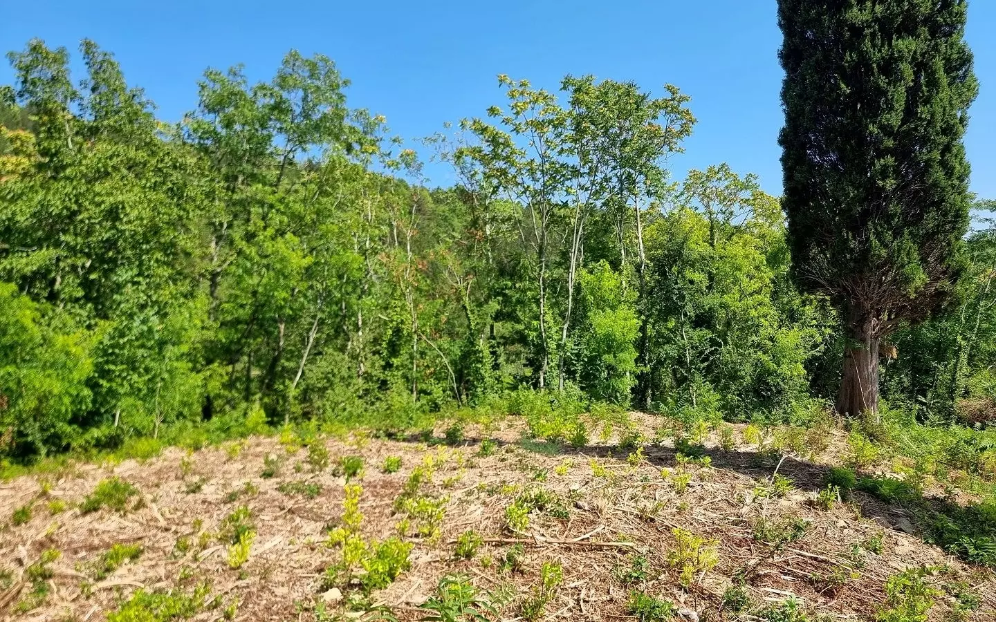 Land In Grožnjan, Croatia (7.658 M²)
