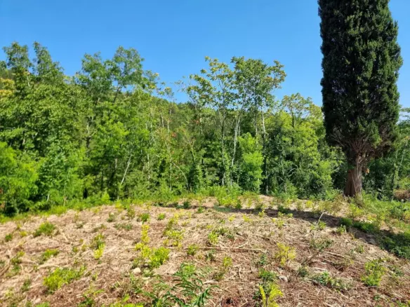 Land In Grožnjan, Croatia (7.658 M²)
