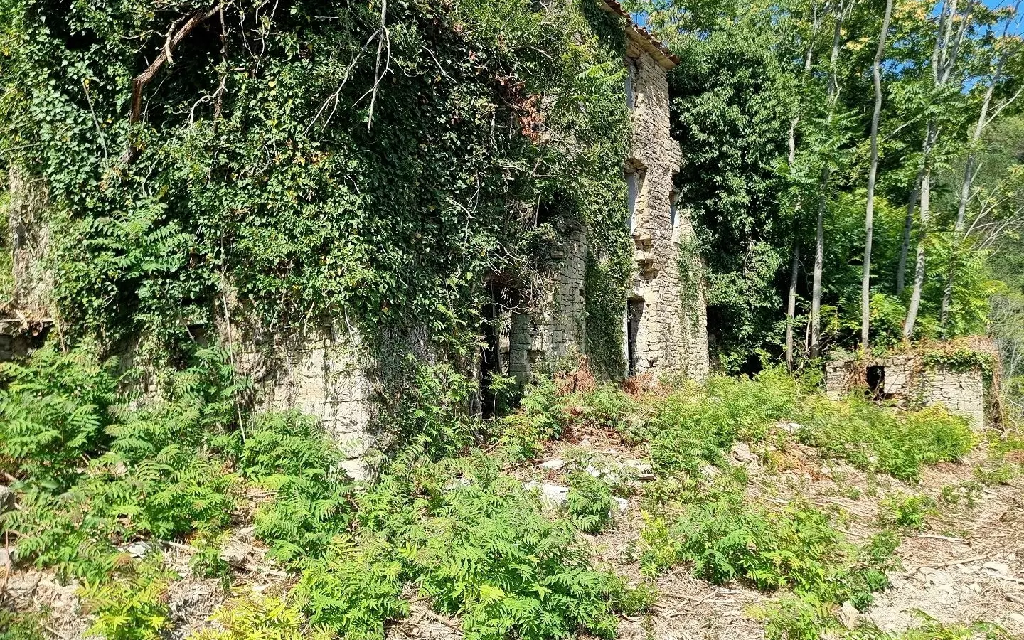 Land In Grožnjan, Croatia (7.658 M²)