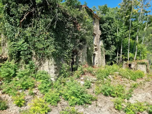 Land In Grožnjan, Croatia (7.658 M²)