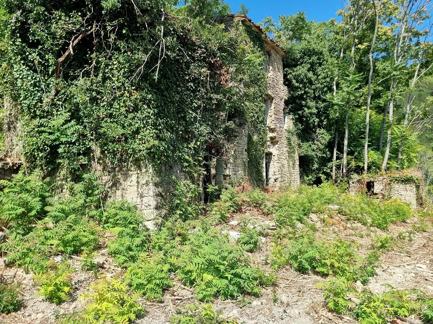 original_1774698411_croatia-istria-real-estate-for-sale-723-8aec03 Land In Grožnjan, Croatia (7.658 M²)