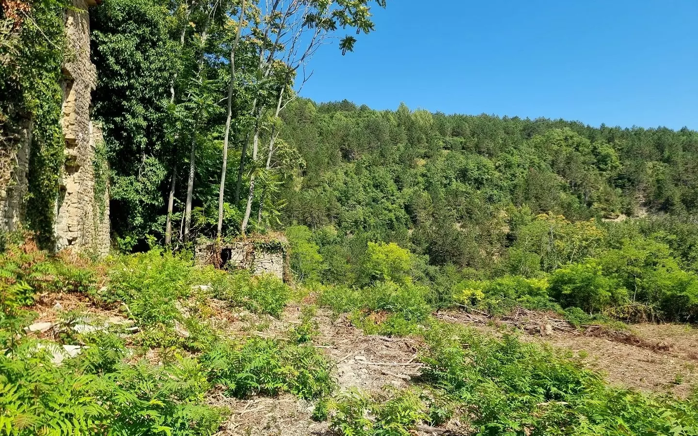 Land In Grožnjan, Croatia (7.658 M²)