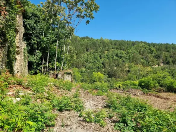 Land In Grožnjan, Croatia (7.658 M²)