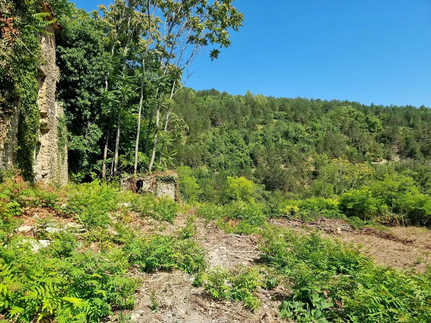 original_1774698417_croatia-istria-real-estate-for-sale-735-f2acab Land In Grožnjan, Croatia (7.658 M²)