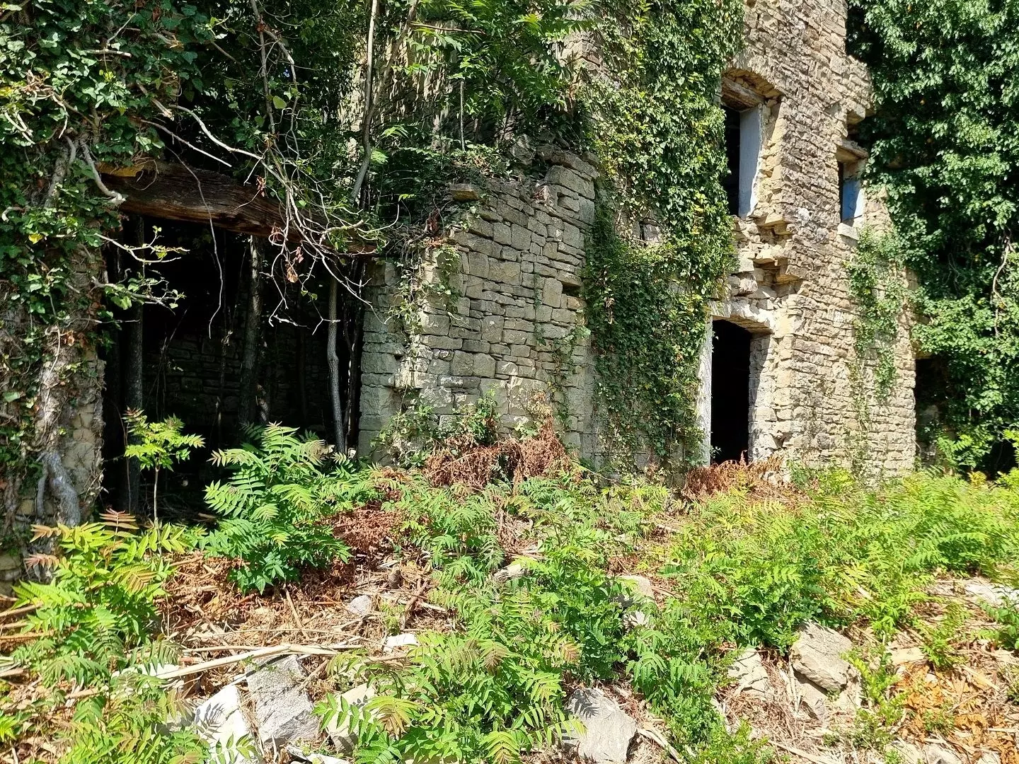 original_1774698422_croatia-istria-real-estate-for-sale-736-f0329b Land In Grožnjan, Croatia (7.658 M²)