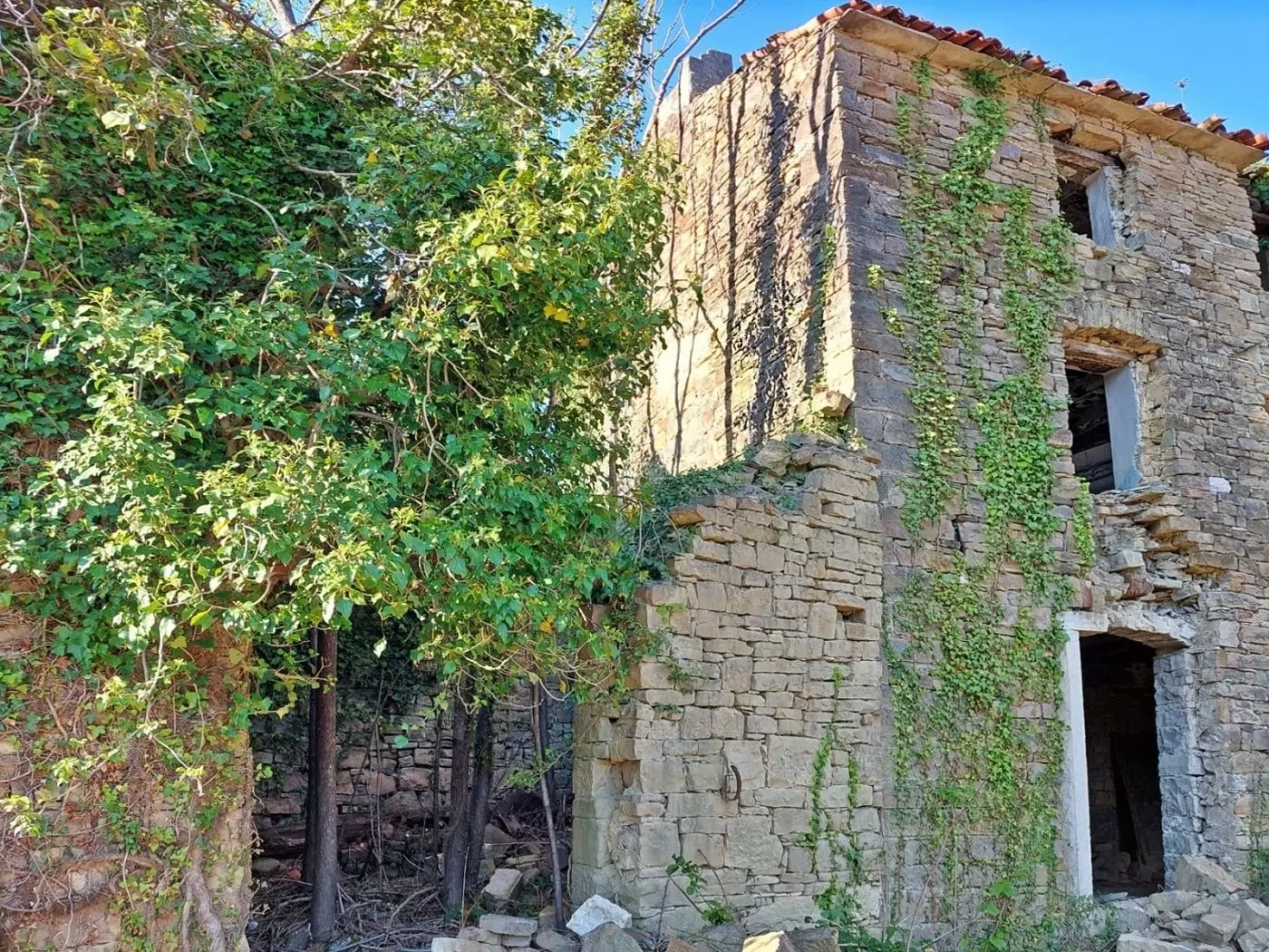 original_1774698426_croatia-istria-real-estate-for-sale-737-7dafdf Land In Grožnjan, Croatia (7.658 M²)