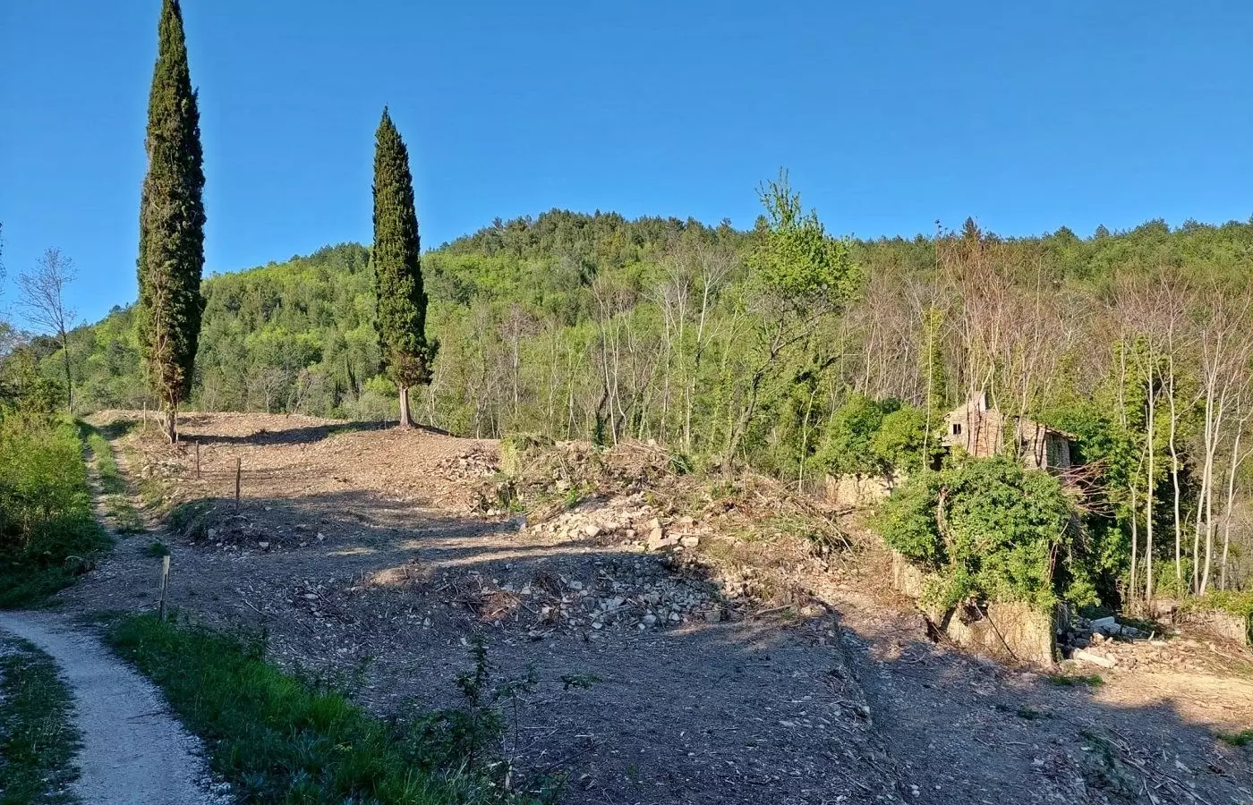 Land In Grožnjan, Croatia (7.658 M²)