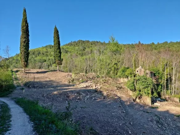 Land In Grožnjan, Croatia (7.658 M²)