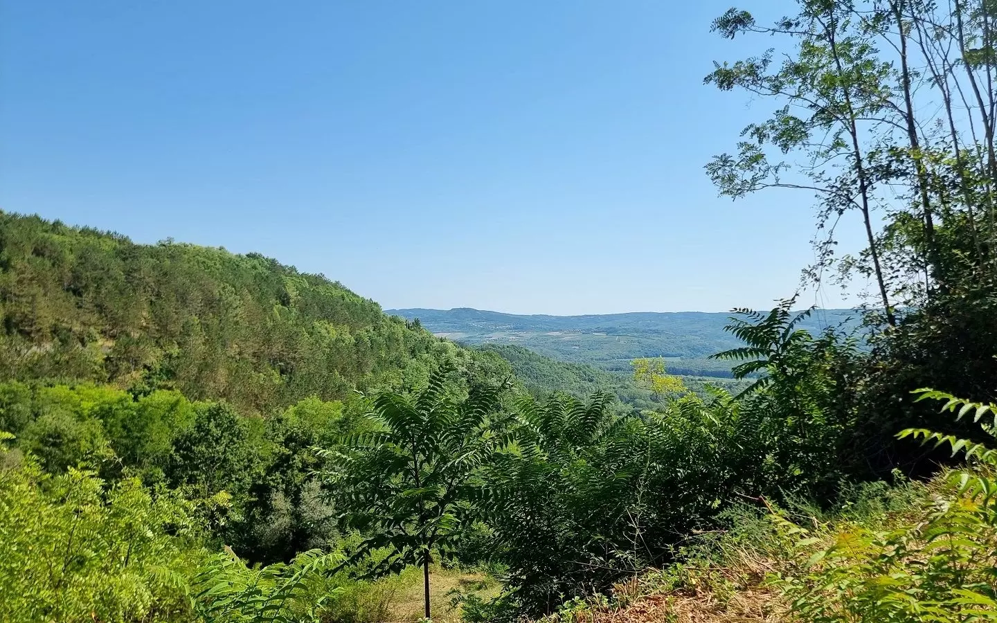 Land In Grožnjan, Croatia (7.658 M²)