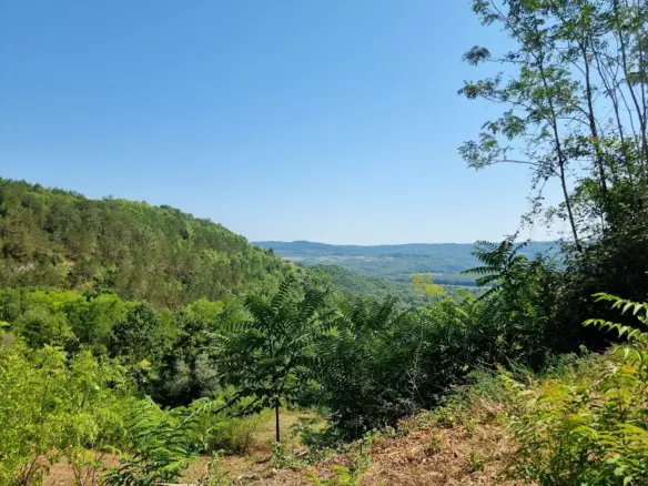 Land In Grožnjan, Croatia (7.658 M²)