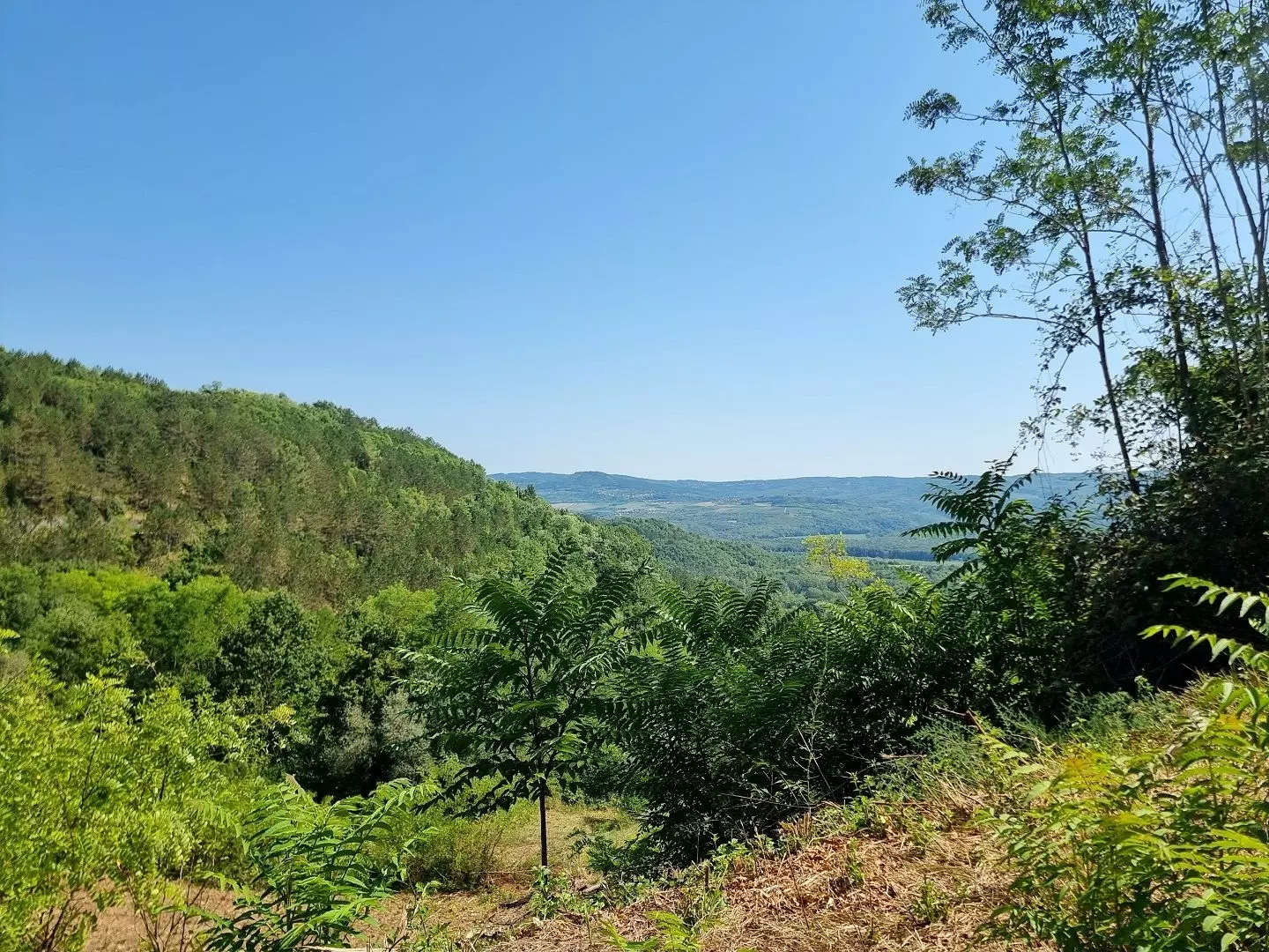 original_1774698463_croatia-istria-real-estate-for-sale-724-91f18e Land In Grožnjan, Croatia (7.658 M²)