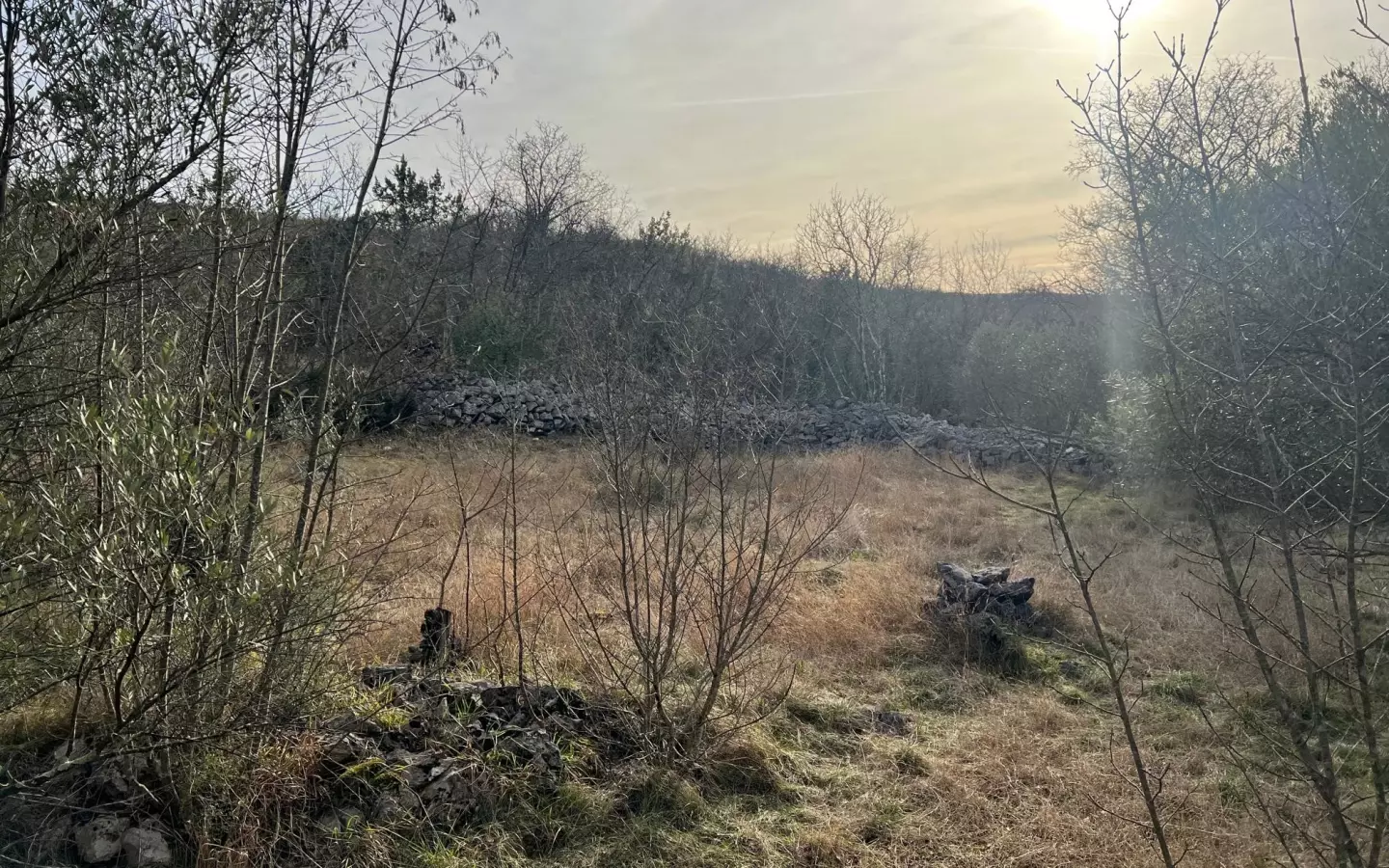 Land In Soline, Croatia (1.000 M²)