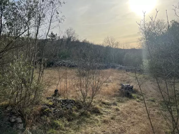 Land In Soline, Croatia (1.000 M²)