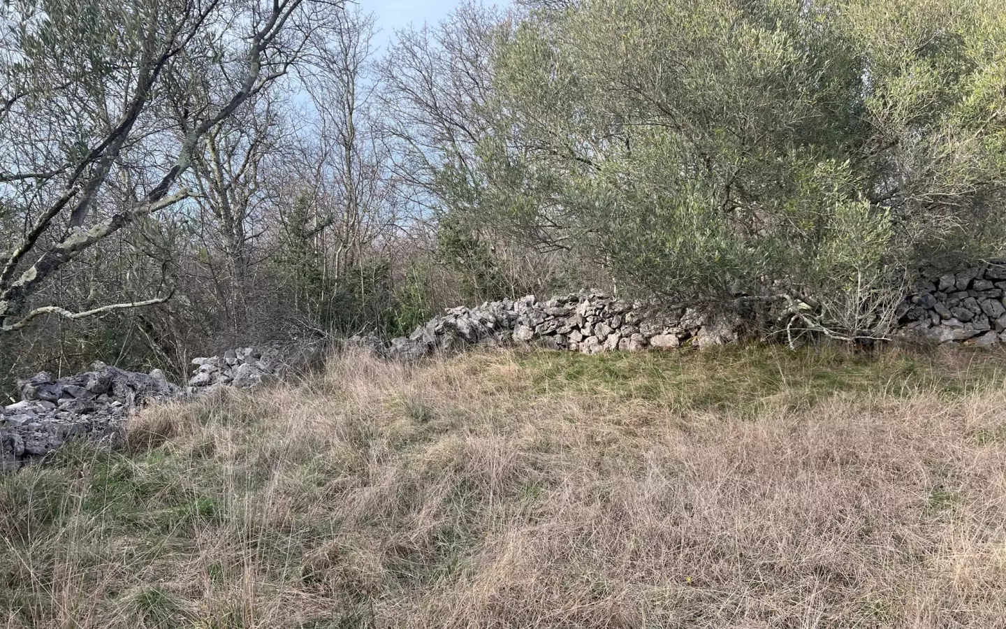 Land In Soline, Croatia (1.000 M²)