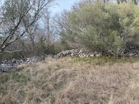 Land In Soline, Croatia (1.000 M²)