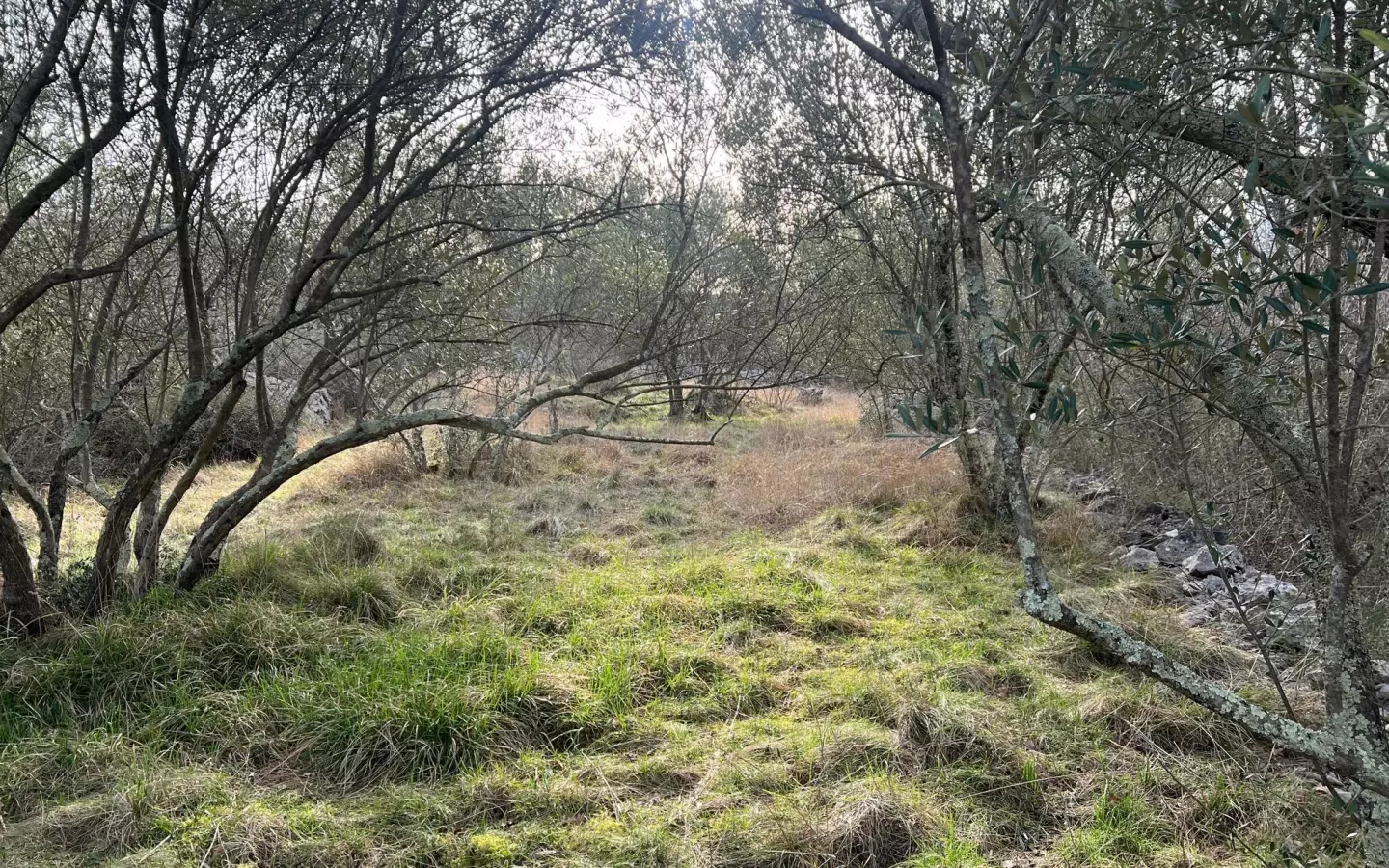 Land In Soline, Croatia (1.000 M²)