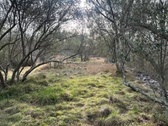 Land In Soline, Croatia (1.000 M²)